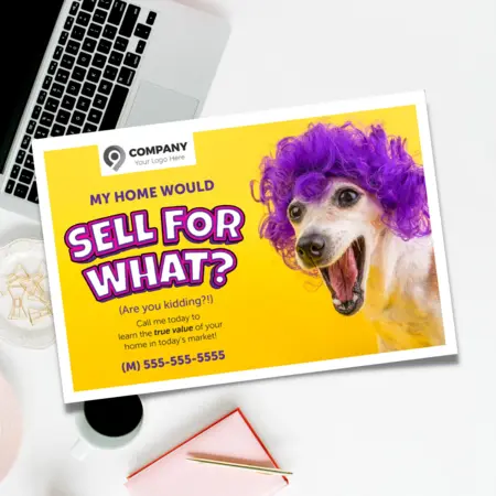 Cute Animals Postcards